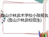 嵩山少林武术学校小孩报名(嵩山少林武校招生)