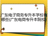 广东电子商务专升本学校有哪些(广东电商专升本院校)