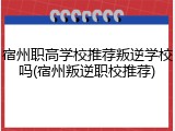 宿州职高学校推荐叛逆学校吗(宿州叛逆职校推荐)