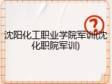 沈阳化工职业学院军训(沈化职院军训)