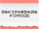 西青补习学校哪里有(西青补习学校位置)