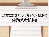 盐城建湖县艺考补习机构(建湖艺考机构)