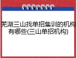 芜湖三山找单招集训的机构有哪些(三山单招机构)