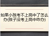 如果小孩考不上高中了怎么办(孩子没考上高中咋办)