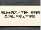 海口好的艺术学校中专有哪些(海口中专艺术学校)