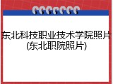 东北科技职业技术学院照片(东北职院照片)