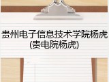 贵州电子信息技术学院杨虎(贵电院杨虎)