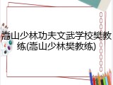 嵩山少林功夫文武学校樊教练(嵩山少林樊教练)