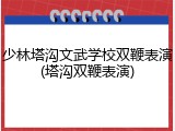 少林塔沟文武学校双鞭表演(塔沟双鞭表演)