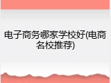 电子商务哪家学校好(电商名校推荐)