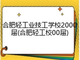 合肥轻工业技工学校2000届(合肥轻工校00届)