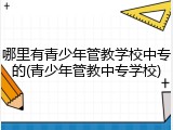 哪里有青少年管教学校中专的(青少年管教中专学校)