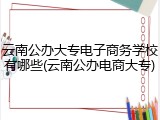 云南公办大专电子商务学校有哪些(云南公办电商大专)