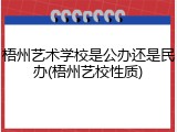 梧州艺术学校是公办还是民办(梧州艺校性质)