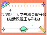 武汉轻工大学专科录取分数线(武汉轻工专科线)