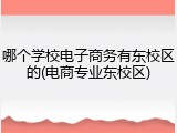 哪个学校电子商务有东校区的(电商专业东校区)