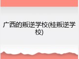 广西的叛逆学校(桂叛逆学校)