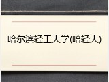 哈尔滨轻工大学(哈轻大)