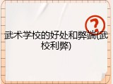 武术学校的好处和弊端(武校利弊)