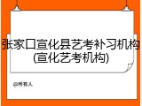 张家口宣化县艺考补习机构(宣化艺考机构)