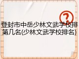 登封市中岳少林文武学校排第几名(少林文武学校排名)