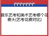 音乐艺考和美术艺考哪个花费大(艺考花费对比)