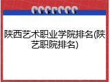 陕西艺术职业学院排名(陕艺职院排名)