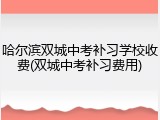哈尔滨双城中考补习学校收费(双城中考补习费用)