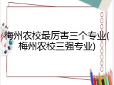梅州农校最厉害三个专业(梅州农校三强专业)