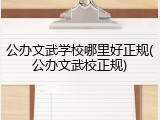 公办文武学校哪里好正规(公办文武校正规)