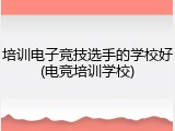 培训电子竞技选手的学校好(电竞培训学校)