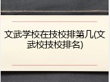 文武学校在技校排第几(文武校技校排名)