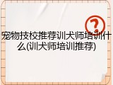 宠物技校推荐训犬师培训什么(训犬师培训推荐)