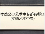 孝感公办艺术中专都有哪些(孝感艺术中专)
