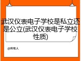 武汉仪表电子学校是私立还是公立(武汉仪表电子学校性质)