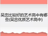 吴忠比较好的艺术高中有哪些(吴忠优质艺术高中)