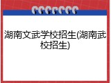 湖南文武学校招生(湖南武校招生)