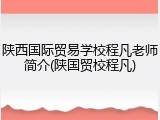 陕西国际贸易学校程凡老师简介(陕国贸校程凡)