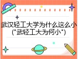 武汉轻工大学为什么这么小("武轻工大为何小")