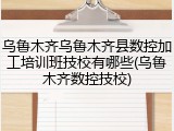 乌鲁木齐乌鲁木齐县数控加工培训班技校有哪些(乌鲁木齐数控技校)