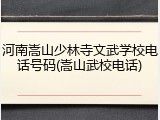 河南嵩山少林寺文武学校电话号码(嵩山武校电话)