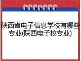 陕西省电子信息学校有哪些专业(陕西电子校专业)