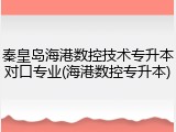 秦皇岛海港数控技术专升本对口专业(海港数控专升本)
