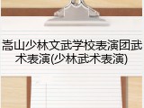 嵩山少林文武学校表演团武术表演(少林武术表演)