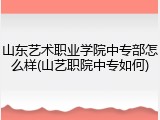山东艺术职业学院中专部怎么样(山艺职院中专如何)