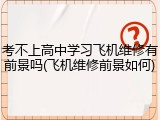 考不上高中学习飞机维修有前景吗(飞机维修前景如何)