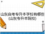 山东自考专升本学校有哪些(山东专升本院校)
