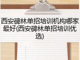 西安碑林单招培训机构哪家最好(西安碑林单招培训优选)