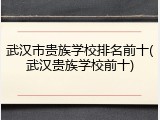 武汉市贵族学校排名前十(武汉贵族学校前十)