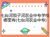 七台河茄子河农业中专学校哪里有(七台河农业中专)